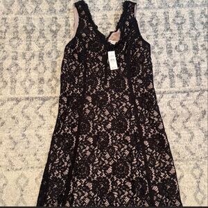 LOFT Black and Cream Lace Midi Dress